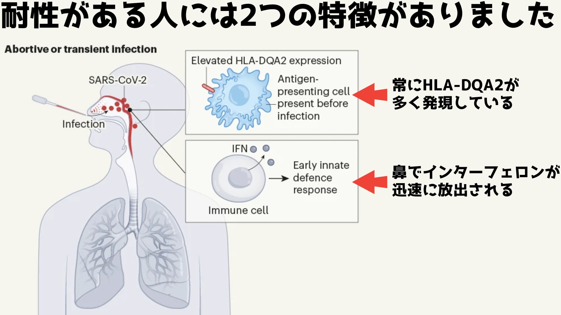 「鼻に直接」新型コロナウイルスを注入されても大丈夫な超人がいると判明！の画像 6/6