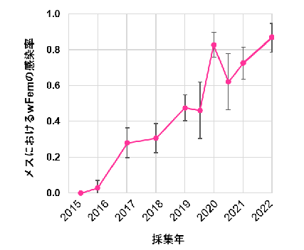 採集したメスに占めるwFemを保有したメスの割合