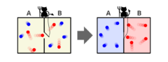 マクスウェルの悪魔。分子を観察できる悪魔は仕事をすることなく温度差を作り出せるようにみえる。
