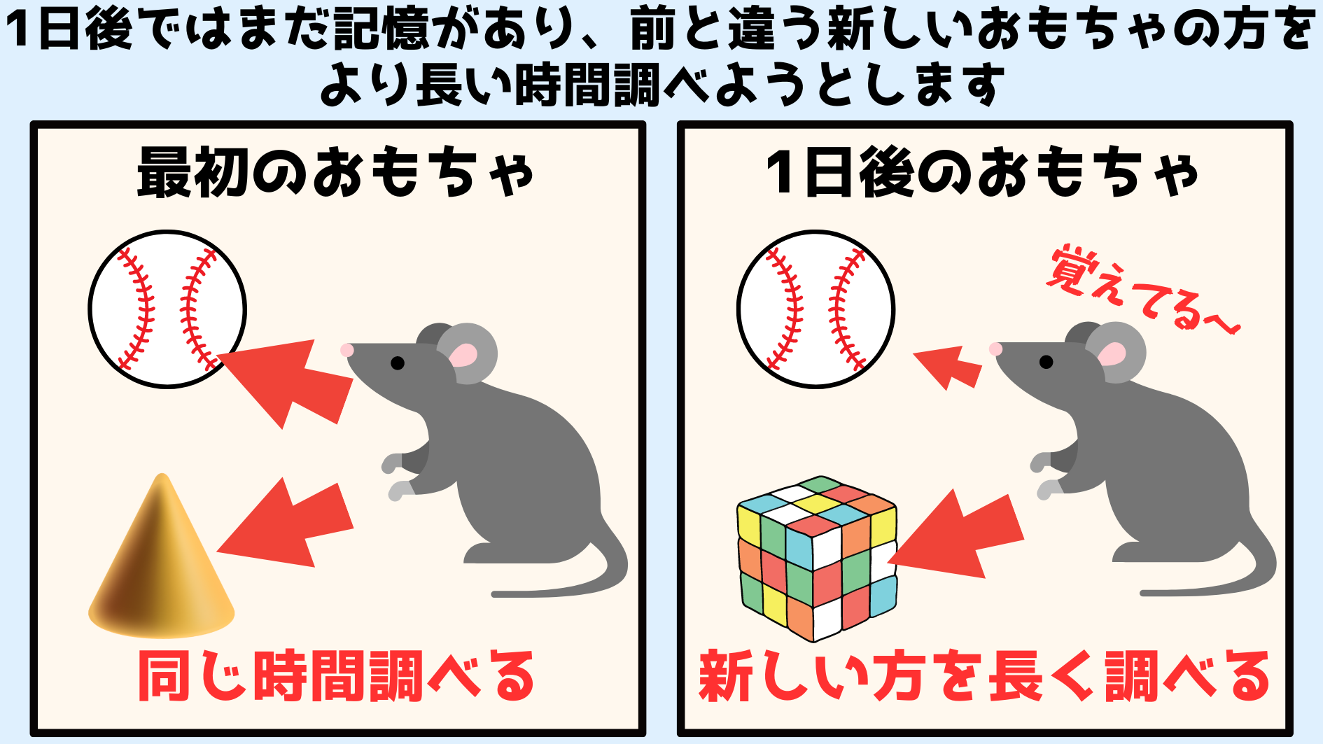 忘れた記憶を再び思い出せるようにする脳細胞を発見！