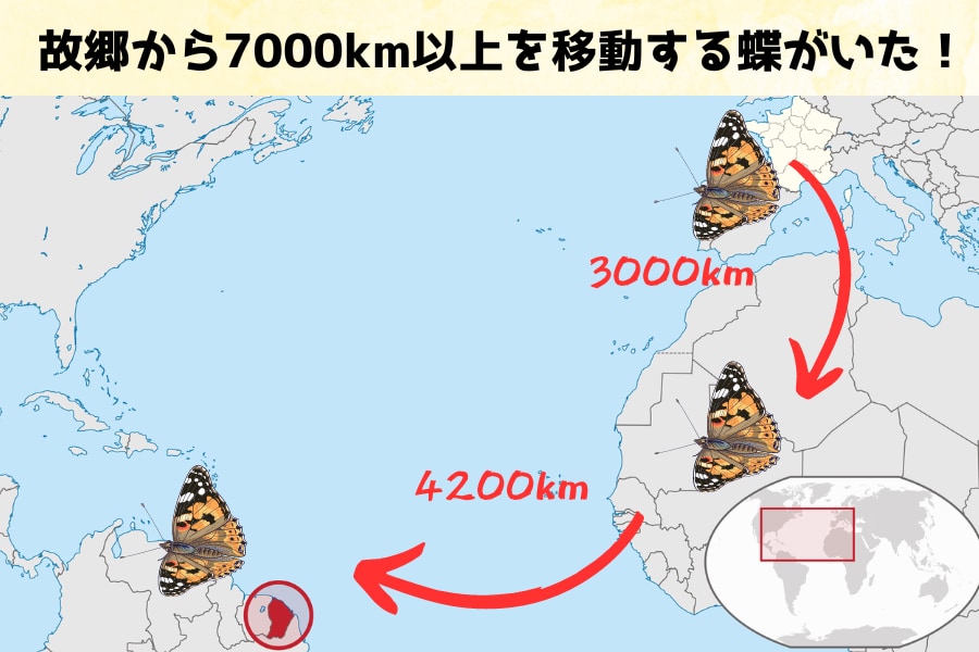 単独徒歩南北アメリカ大陸20000km縦断 - CAMPFIRE (キャンプ