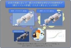 朝型と夜型では見え方が異なると判明