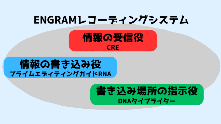 ENGRAMの仕組みをわかりやすく解説