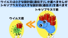 トキソプラズマはウイルスよりもゲノムサイズが大きく、より多くの遺伝情報を脳内に持ち込むことが可能です