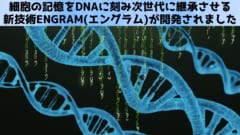 まるでアサクリのアノ技術「細胞の記憶をDNAに刻み込む」方法が開発