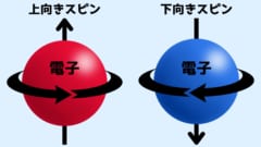 電子などの粒子はスピンをもつことが知られています