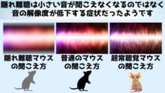 聞こえるのに聞き取れない隠れ難聴の原因は「音の解像度」低下にあった