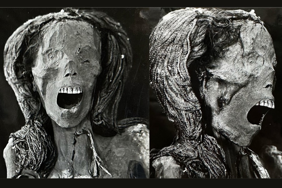 モノクロ ミイラ写真 0294d2d3dc532b6cefd5f3d5b3d409