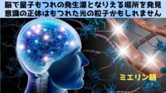 脳で「量子もつれ」の発生源となりえる場所を発見、意識の根源は光か？