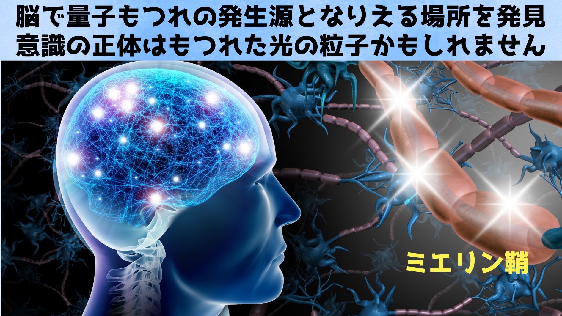 脳で「量子もつれ」の発生源となりえる場所を発見、意識の根源は光か？