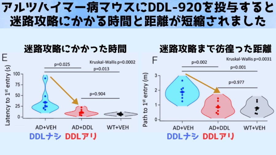 DDL-920はガンマ波発生のリミッターを解除します。グラフの一番右は健康なマウスの成績を示しています。