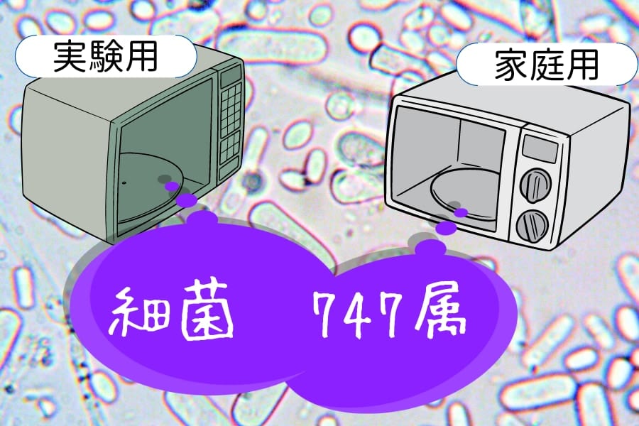 【電子レンジの加熱では不十分】掃除しない電子レンジには数百種類の細菌がいる！