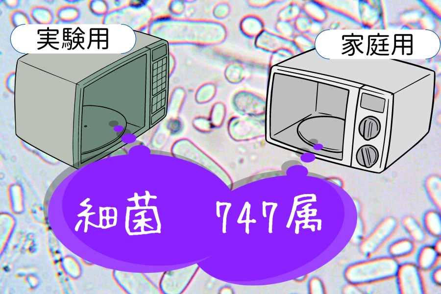 30台の電子レンジから747属の異なる細菌が発見される