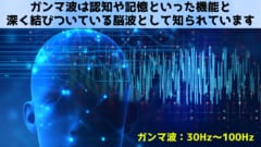 アルツハイマー病で失われた記憶を回復させる薬「DDL‐920」を開発の画像 2/3