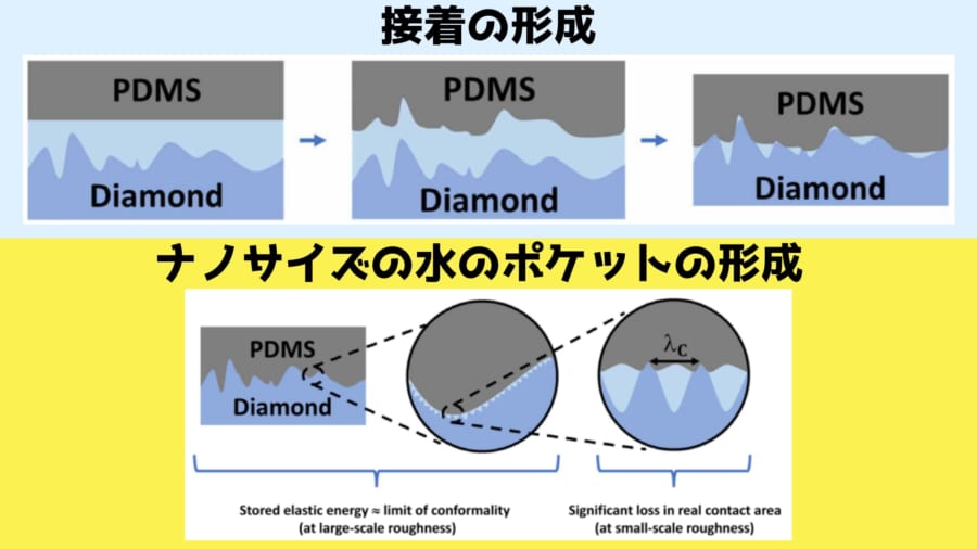 ナノサイズの水のポケットが引きはがしに抵抗します