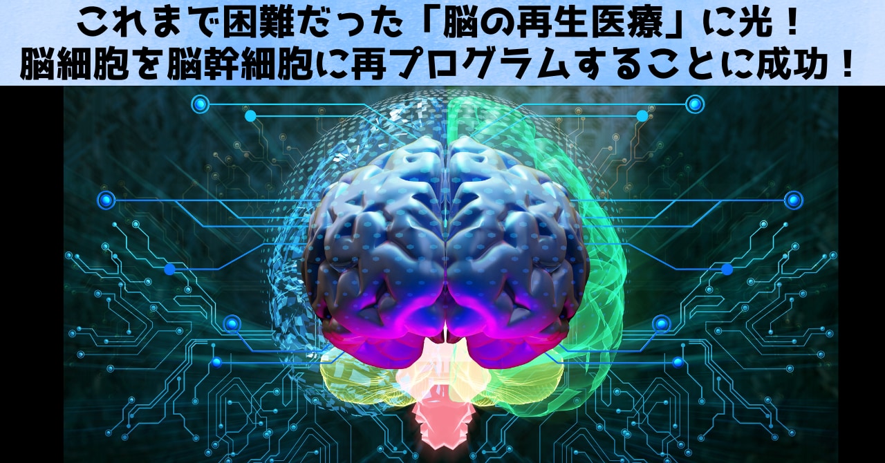 脳の再生医療に光、脳細胞を脳幹細胞に再プログラムすることに成功！の画像 1/5