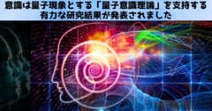 意識は量子現象なのか？「量子意識理論」を支持する有力な研究結果が報告されるの画像 1/3