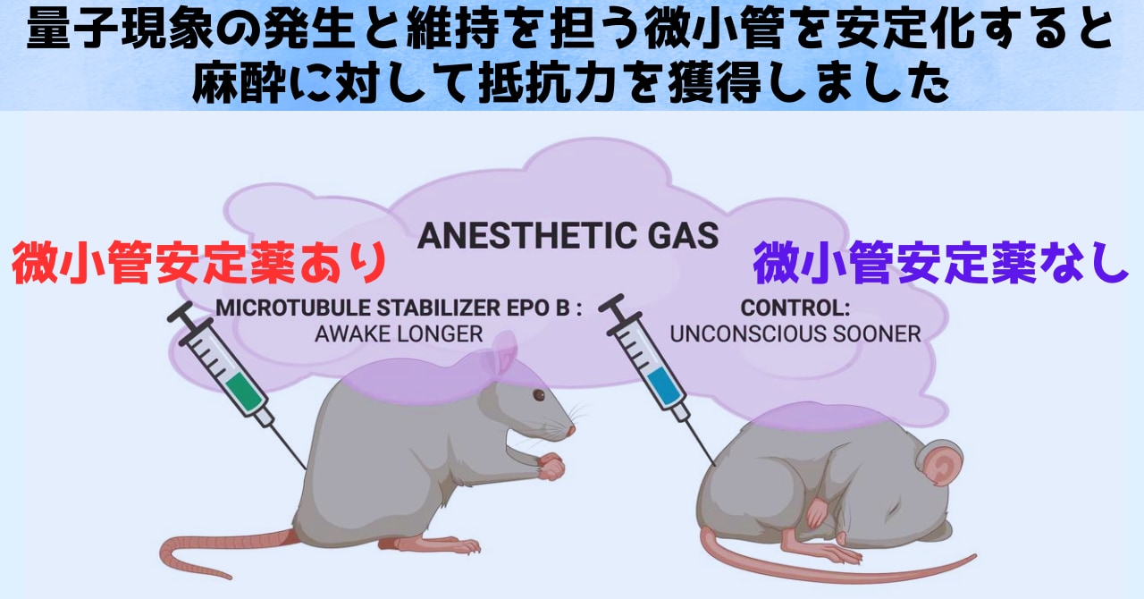 意識は量子現象なのか？「量子意識理論」を支持する有力な研究結果が報告されるの画像 3/3