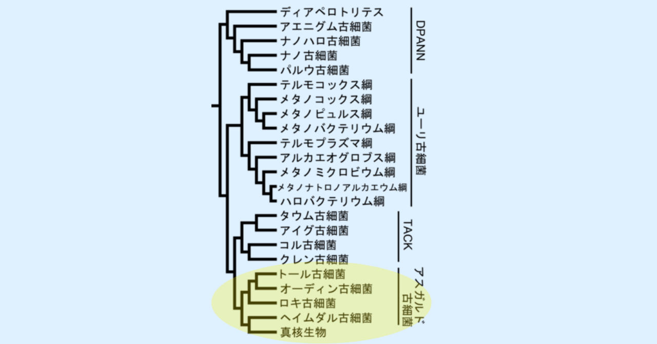 人間の「免疫」とウイルスの戦いは30億年前から続いていると判明！の画像 5/5