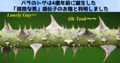 バラのトゲは4億年に誕生した「孤独な男」遺伝子のお陰と判明！の画像 1/4