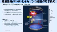 理論通りならばWIMPはマイナス96℃のキセノンと相互作用するはずです