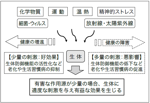 放射線でゾウリムシの細胞分裂が進む理由、放射線ホルミシスとは？の画像 4/5