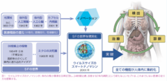 ヒト細胞から作られるバイオロボ「アンスロボット」とは？の画像 2/6