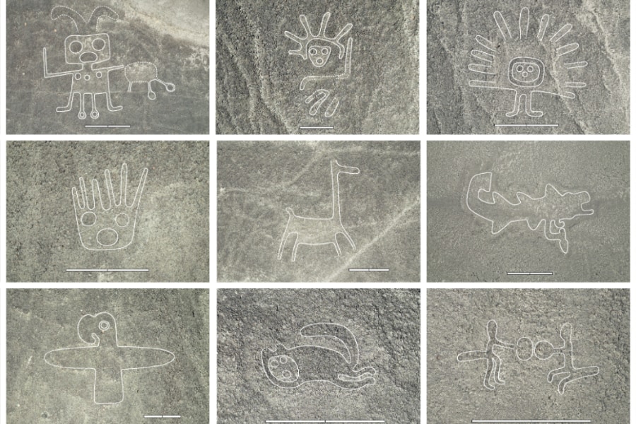 ゆる可愛い個性豊かな「ナスカの地上絵」を新たに大量発見！文字文化の
