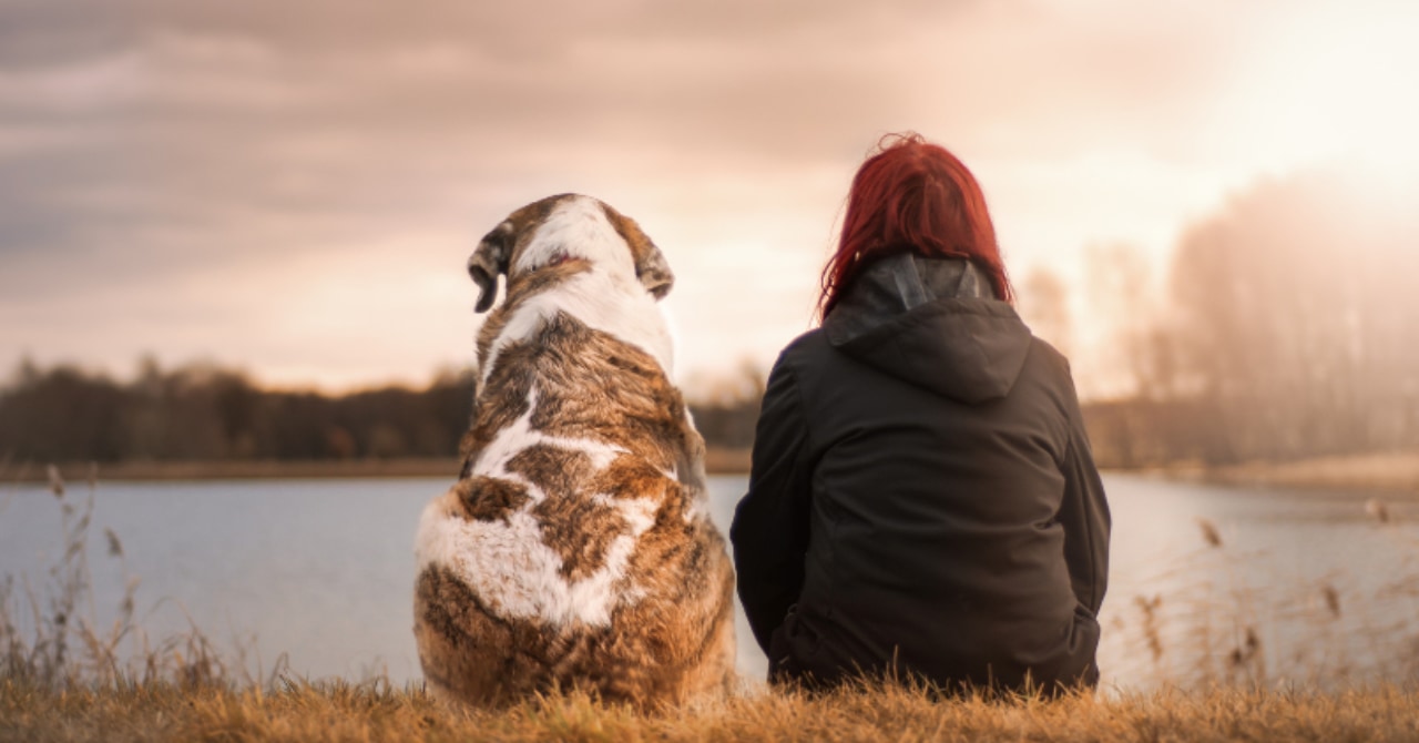 【人と犬はマブダチ】見つめ合うと「脳波がシンクロ」すると判明！の画像 1/5