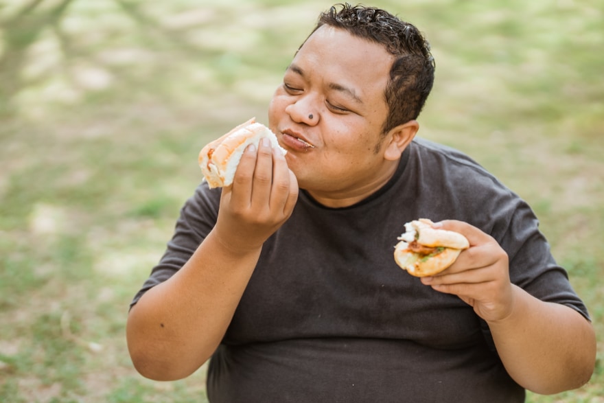 「生きるための食欲」と「快楽目的の食欲」のバランスを取る脳回路を発見の画像 3/5