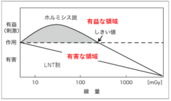 放射線でゾウリムシの細胞分裂が進む理由、放射線ホルミシスとは？の画像 3/5