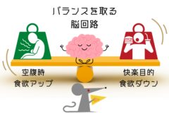 「生きるための食欲」と「快楽目的の食欲」のバランスを取る脳回路を発見の画像 5/5