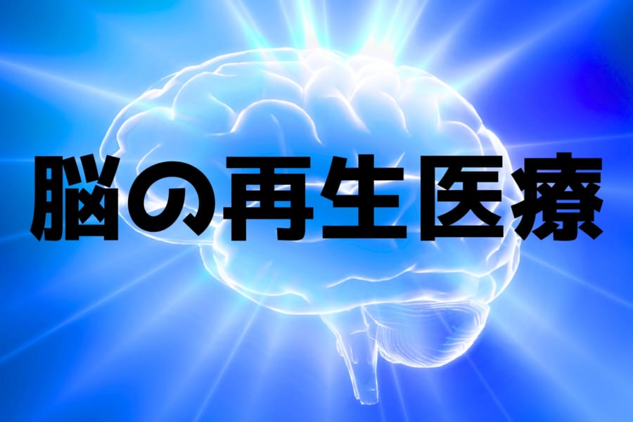 脳の再生医療に光、脳細胞を脳幹細胞に再プログラムすることに成功！