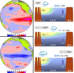 メガエルニーニョが2億5000万年前の世界最悪の大量絶滅を引き起こしたの画像 3/5