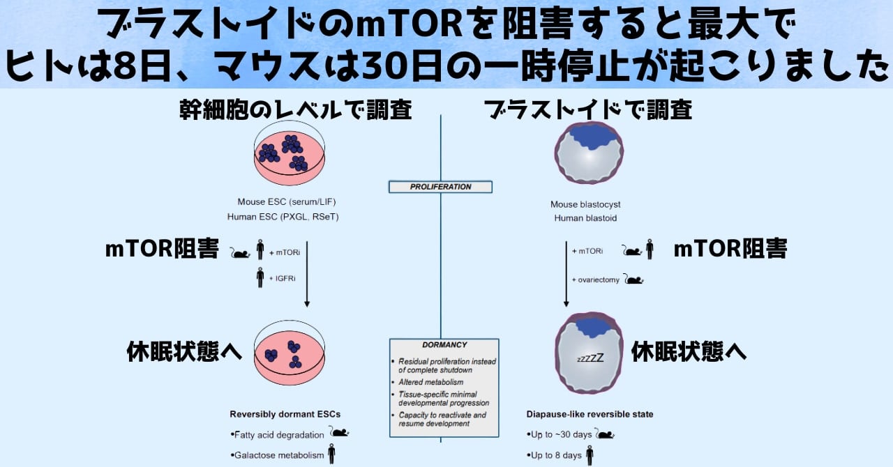 人間の命を一時停止する「ボタン」を発見の画像 3/3