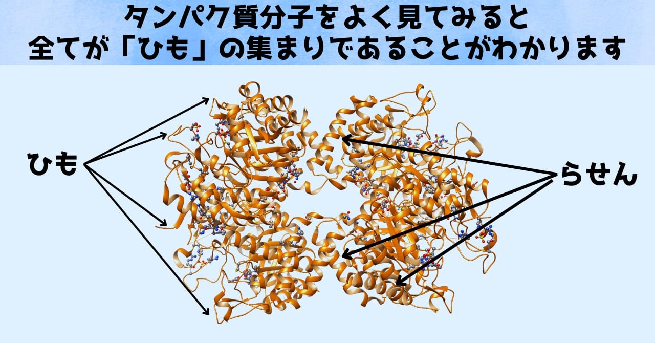 2024年ノーベル化学賞の凄さを「小学生」でもわかるように解説の画像 3/7