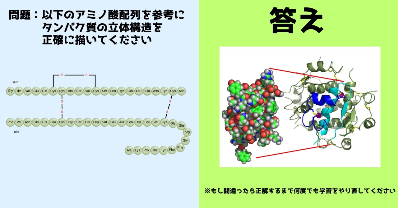 2024年ノーベル化学賞の凄さを「小学生」でもわかるように解説の画像 6/7