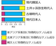 日本人の遺伝子の8割を占める「渡来人」の遺伝的ルーツを解明！の画像 4/5