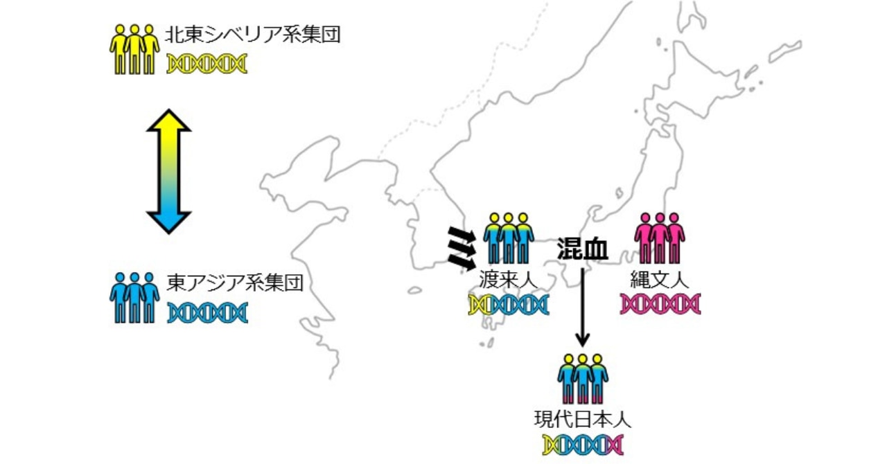 日本人の遺伝子の8割を占める「渡来人」の遺伝的ルーツを解明！の画像 1/5