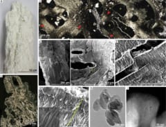 生命エネルギーの基礎は地球の地熱システムをコピペして作られたの画像 2/4