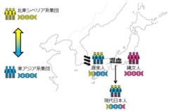 日本人の遺伝子の8割を占める「渡来人」の遺伝的ルーツを解明！の画像 5/5