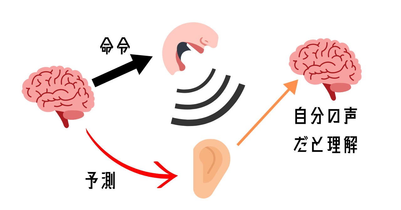 統合失調症患者が「思考」と「外部の音」を区別できなくなる原因が明らかにの画像 3/4