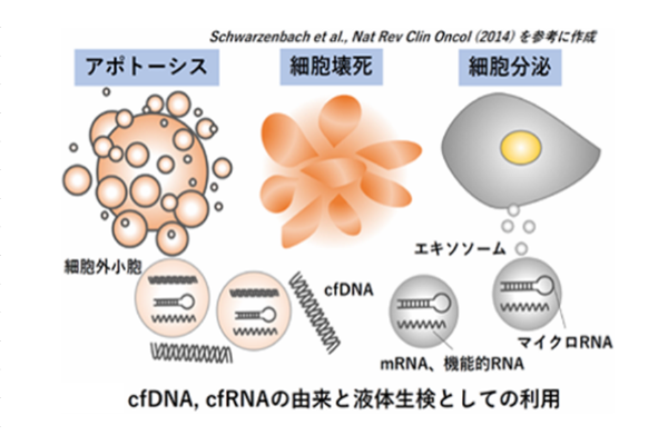 【筑波大学】宇宙医療のさきがけとなる健康管理技術を開発の画像 2/4