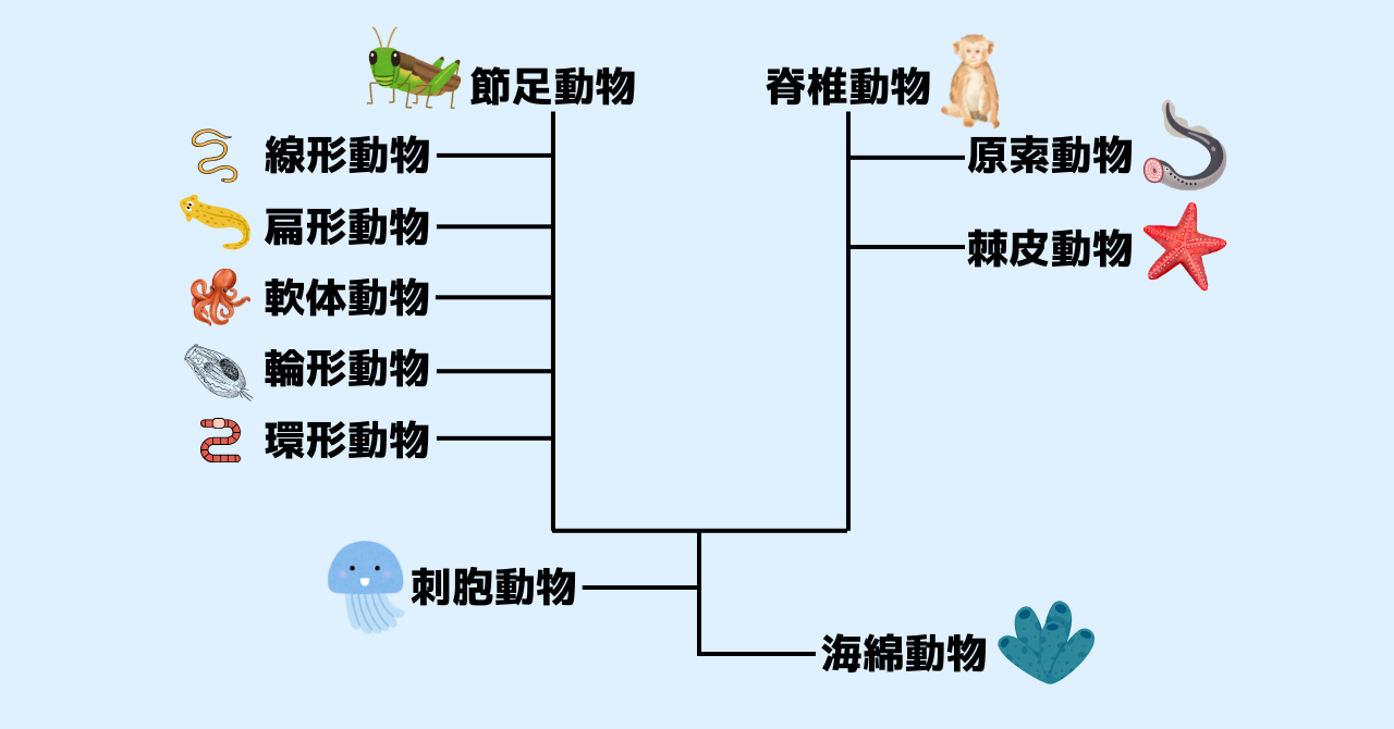 簡易的な動物の系統樹