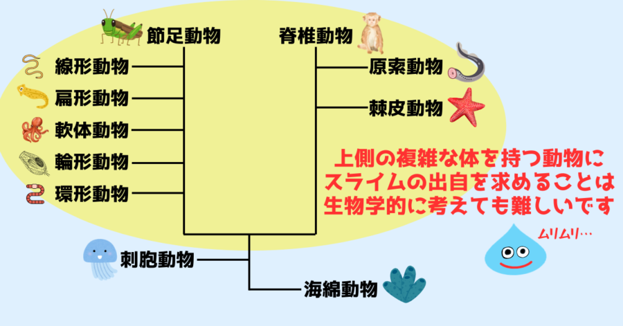 系統樹の上側の生物は比較的複雑な体を持っている