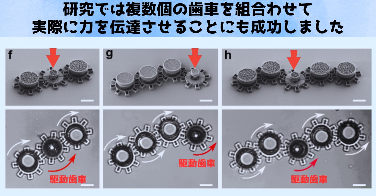 研究では最大６個の歯車まで力の電動が試された