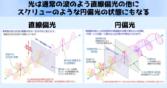 ここでは便宜的に円偏光のことをスクリュー状の光と示しています