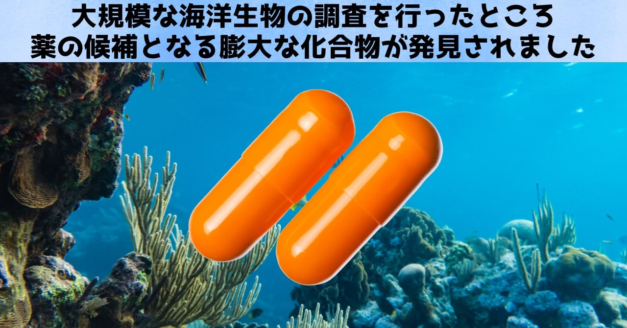 海洋微生物の調査により「抗がん剤」や「抗生物質」の有力候補を多数発見