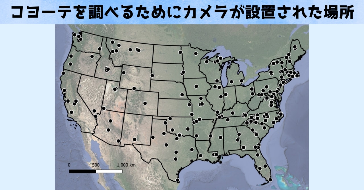 コヨーテは「狩ると増える」衝撃の研究内容が発表の画像 2/3