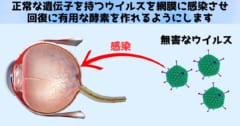 先天性疾患は治る時代になりつつある